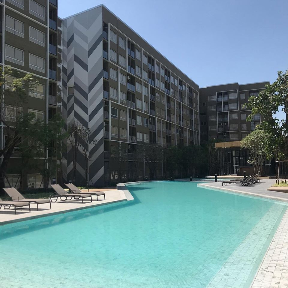 🌟 Better to Buy Than Rent! 1.45 MB. 📍 Plum Rangsit ALIVE 1 💡Ready-to-Move-In (Bangkok University Rangsit) 🚫 No Co-Agent 🌟 Better to Buy Than Rent! 1.45 MB. 📍 Plum Rangsit ALIVE 1 💡Ready-to-Move-In (Bangkok University Rangsit) 🚫 No Co-Agent