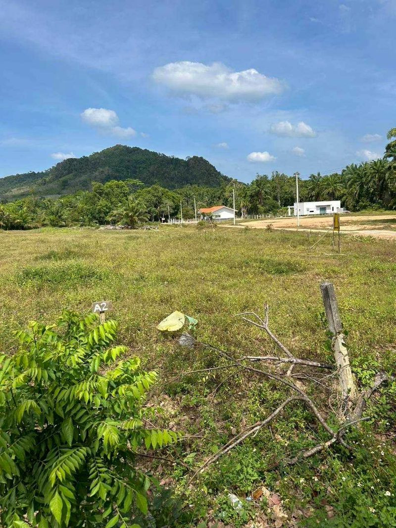 💥ขายที่ดินเปล่า บรรยากาศธรรมชาติเงียบสงบ หลังพิงเขาฮวงจุ้ยดี ตำบลหนองทะเล อำเภอเมือง,กระบี่ ขนาดที่ดิน 4-1-0 ไร่