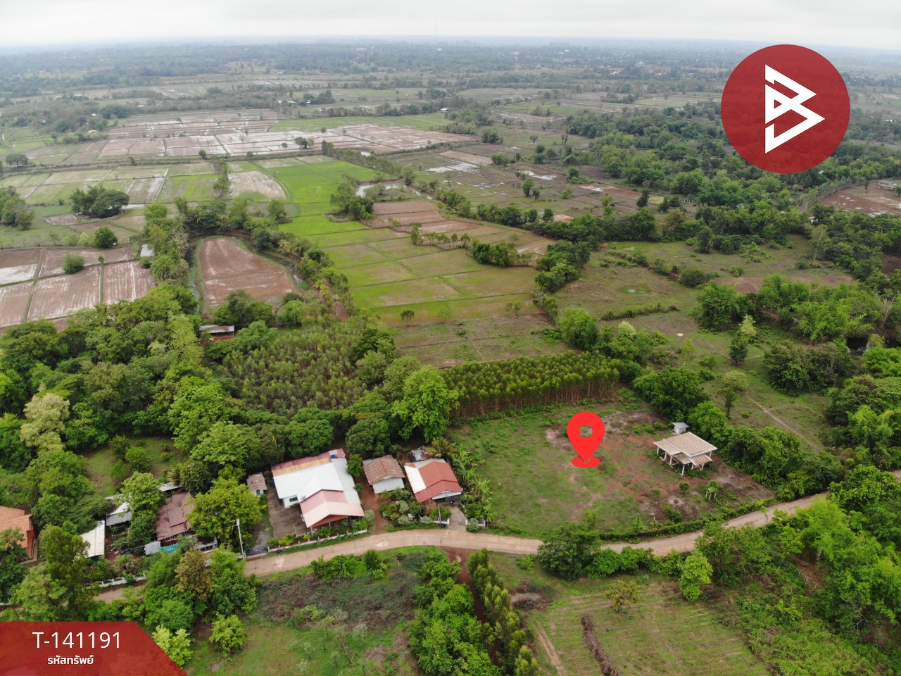 Land for sale, area 20 rai 1 ngan 60 sq m, Pen, Udon Thani. – รูปที่ 3