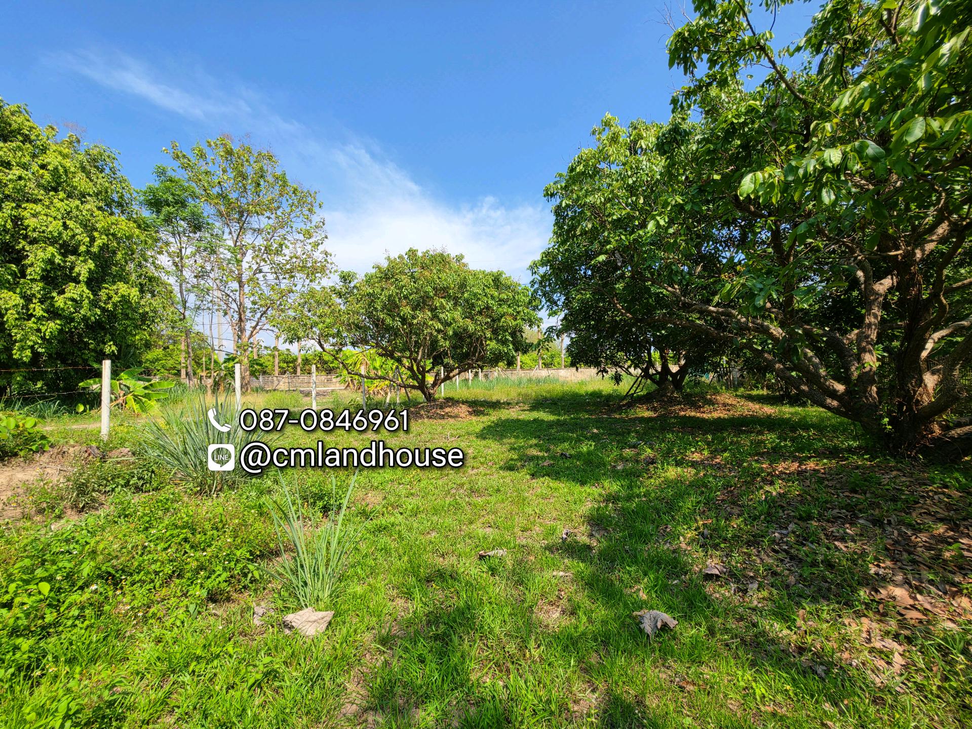 ที่ดินสวย 167 ตรว. ถนนหน้าอุทยานหลวงราชพฤกษ์ ใกล้ไนท์ซาฟารี ใกล้แยกพืชสวนโลก 500 ม. เหมาะทำบ้านพัก วิลล่า พูลวิลล่า บ้านเช่า airbnb ร้านอาหาร-คาเฟ่เล็กๆ ทำออฟฟิศ คลีนิคฯลฯ – รูปที่ 4