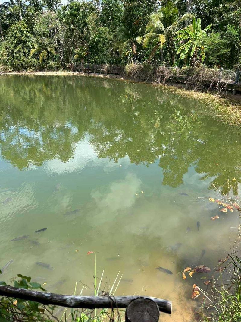 Land for sale with buildings On a potential location Opened as a resort, ready to expand business immediately, Huai Yung Subdistrict, Nuea Khlong District Krabi Province, land 8-0-71.40 rai – รูปที่ 3