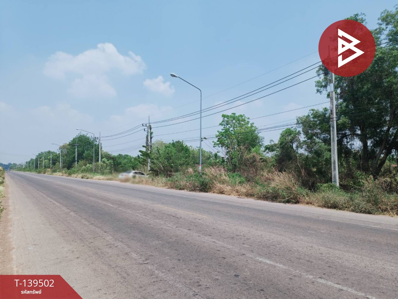 ขายที่ดิน เนื้อที่ 14 ไร่ 61.9 ตร.วา ราชสาส์น ฉะเชิงเทรา – รูปที่ 4