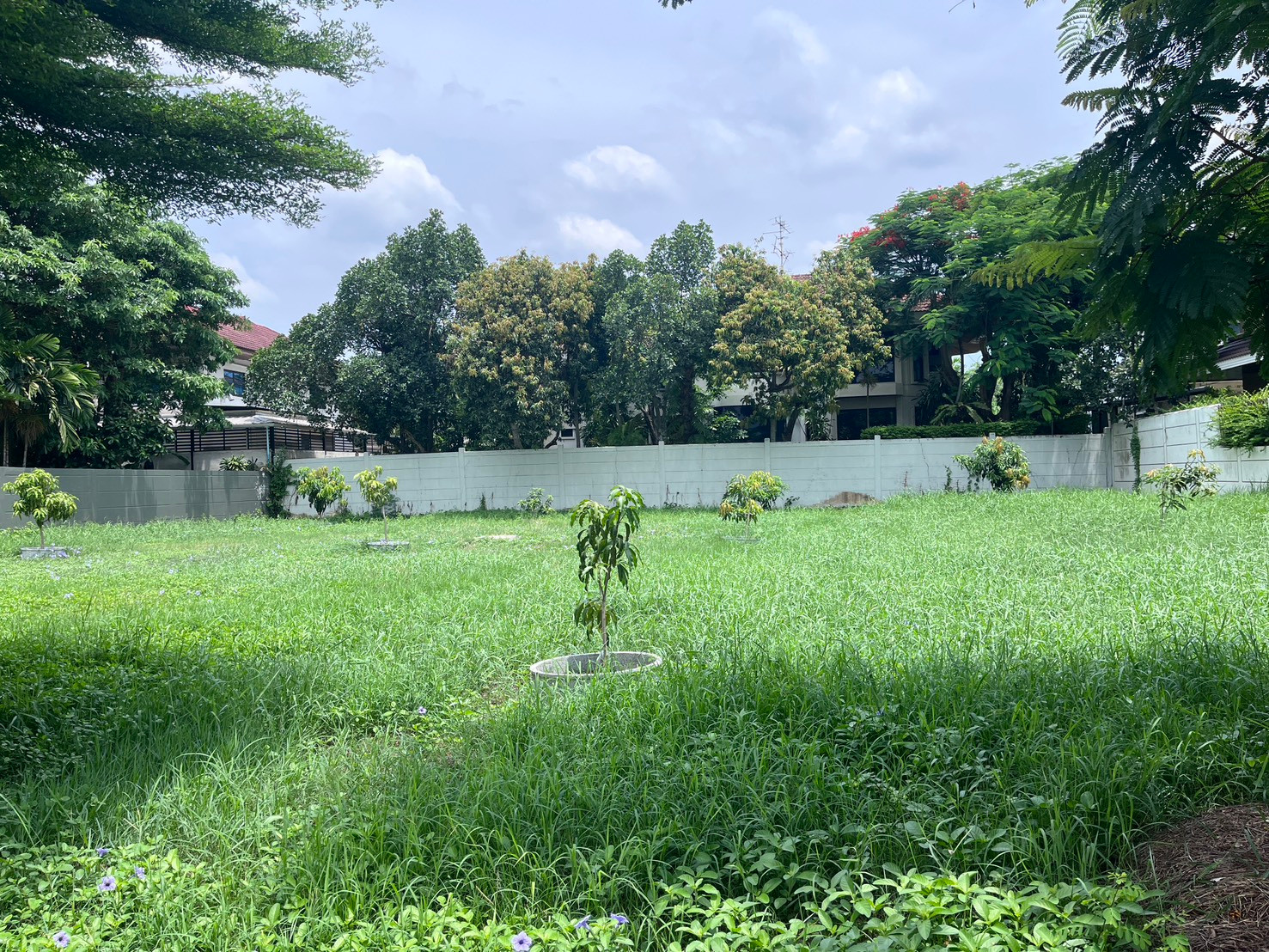 🏡 ขายที่ดิน โครงการกรีนวัลเล่ย์ บางนา 🏡 ขายที่ดิน โครงการกรีนวัลเล่ย์ บางนา