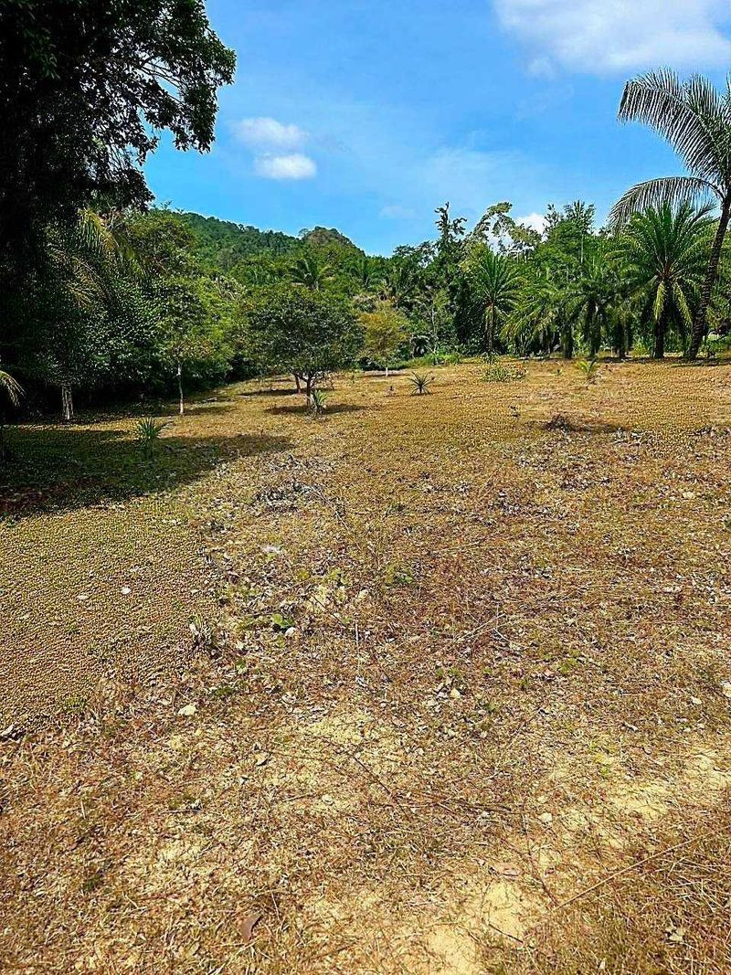💥Empty land for sale The natural atmosphere is quiet. Behind the mountain, good feng shui, Nong Thale Subdistrict, Mueang District, Krabi, land size 4-1-0 rai. – รูปที่ 4