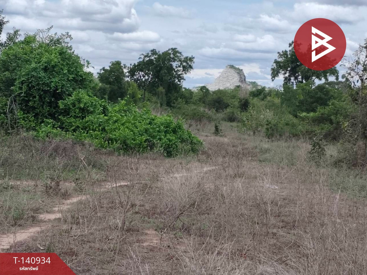 Land for sale, area 13 rai 1 ngan 68 sq m, Don Chedi, Suphan Buri. – รูปที่ 3