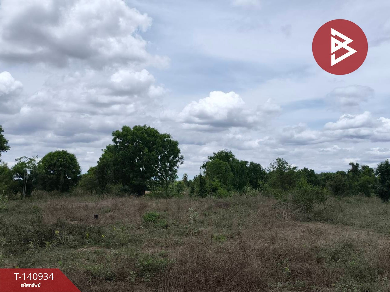 Land for sale, area 13 rai 1 ngan 68 sq m, Don Chedi, Suphan Buri. – รูปที่ 2