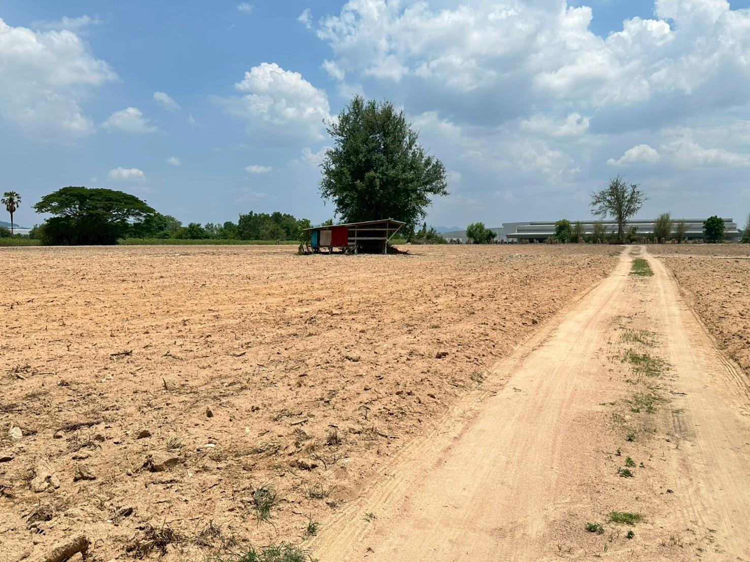 ขายที่ดิน  10-1-17  ไร่ ( 4,117  ตร.ว ) ผังสีส้ม ถมแล้ว ใกล้นิคมปิ่นทอง-แหลมฉบัง ศรีราชา 8,000 บาท/ตร.ว