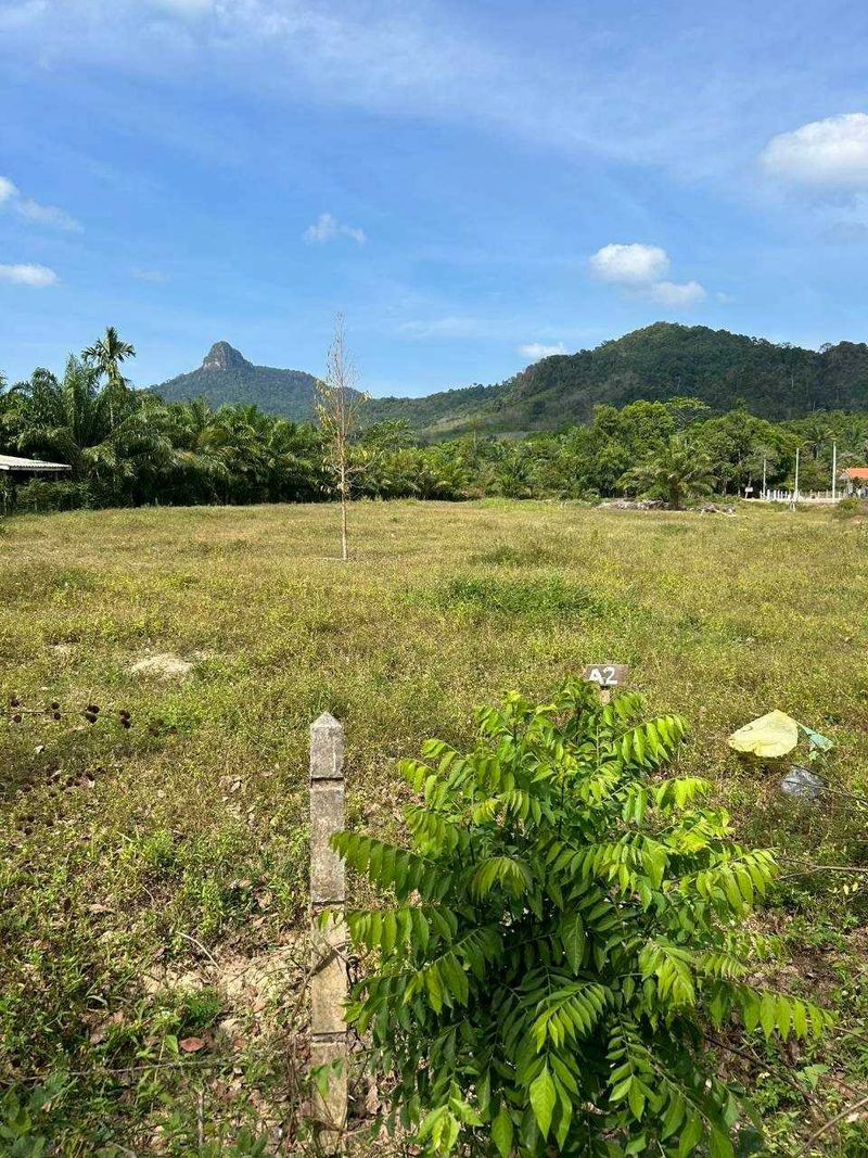 💥Empty land for sale The natural atmosphere is quiet. Behind the mountain, good feng shui, Nong Thale Subdistrict, Mueang District, Krabi, land size 4-1-0 rai. – รูปที่ 2
