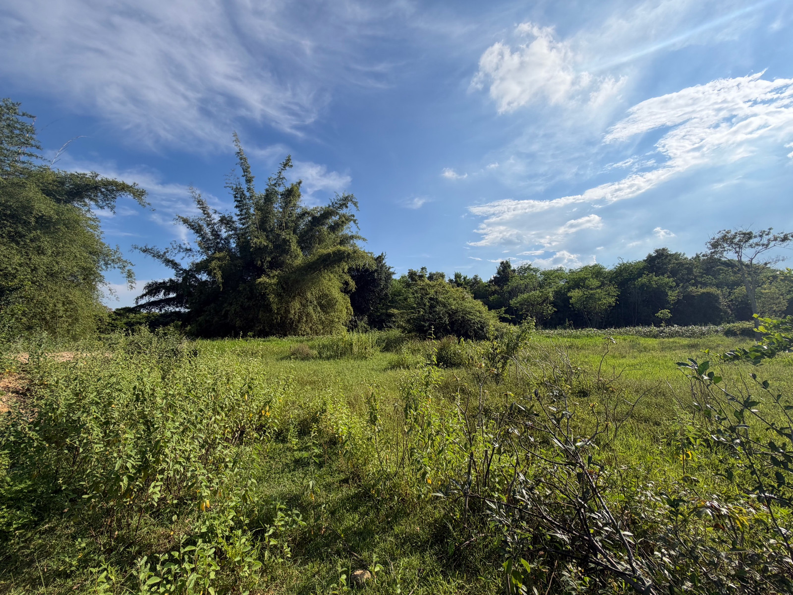 ขายที่ดินหัวหิน โซนสงบ วิวธรรมชาติ เหมาะทำบ้านพักหรือพูลวิลล่า 