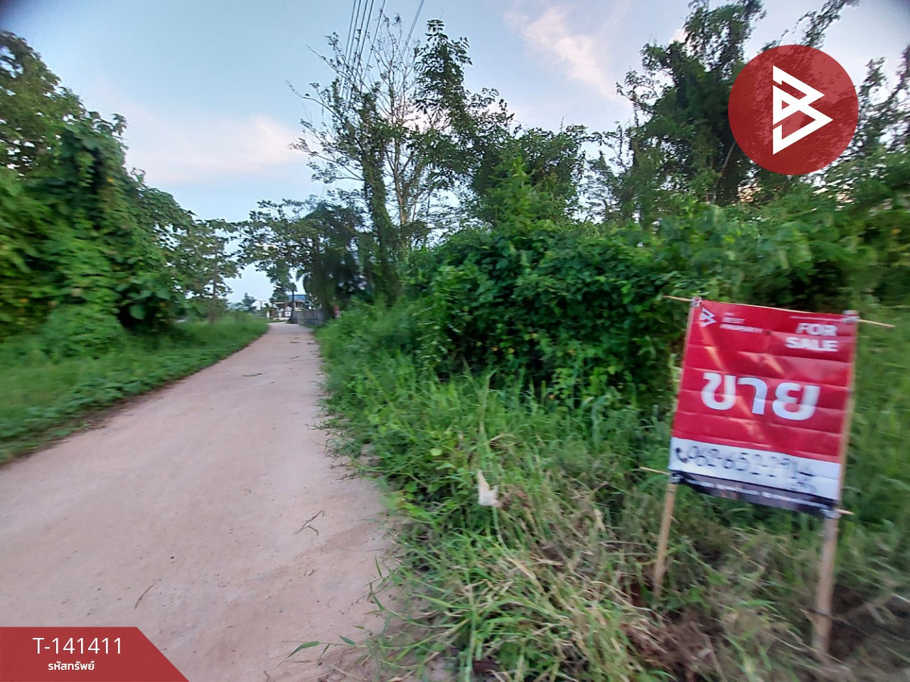 ขายที่ดิน เนื้อที่ 1 งาน ต.จุมพล อ.โพนพิสัย จ.หนองคาย – รูปที่ 3
