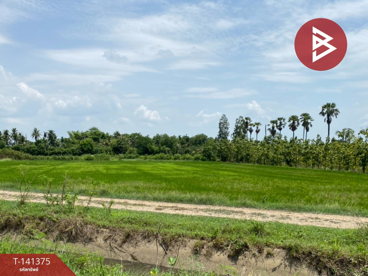  ขายที่ดิน เนื้อที่ 3 ไร่ 80.3 ตร.วา กำแพงแสน นครปฐม – รูปที่ 4