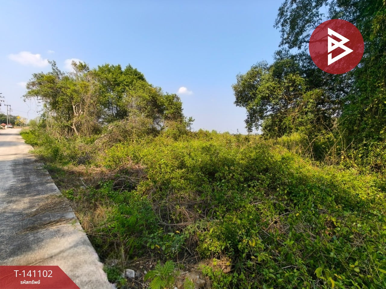 Land for sale, area 8 rai 2 ngan 28 sq m, Bang Pakong, Chachoengsao. – รูปที่ 4