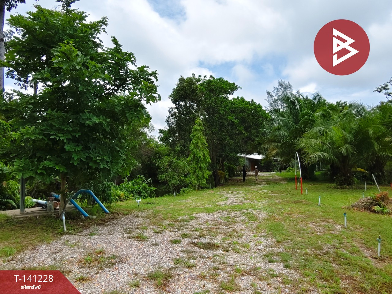 Land for sale with buildings, area 5 rai 1 ngan 4.5 sq m, Na Yai Am, Chanthaburi.