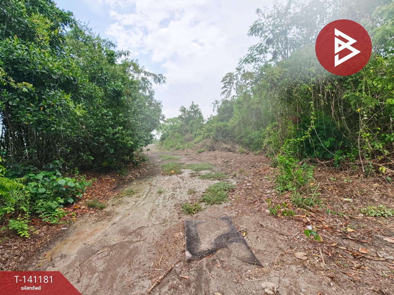 ขายที่ดิน เนื้อที่ 9 ไร่ 3 งาน 81 ตร.วา บ้านใหม่ ฉะเชิงเทรา – รูปที่ 3