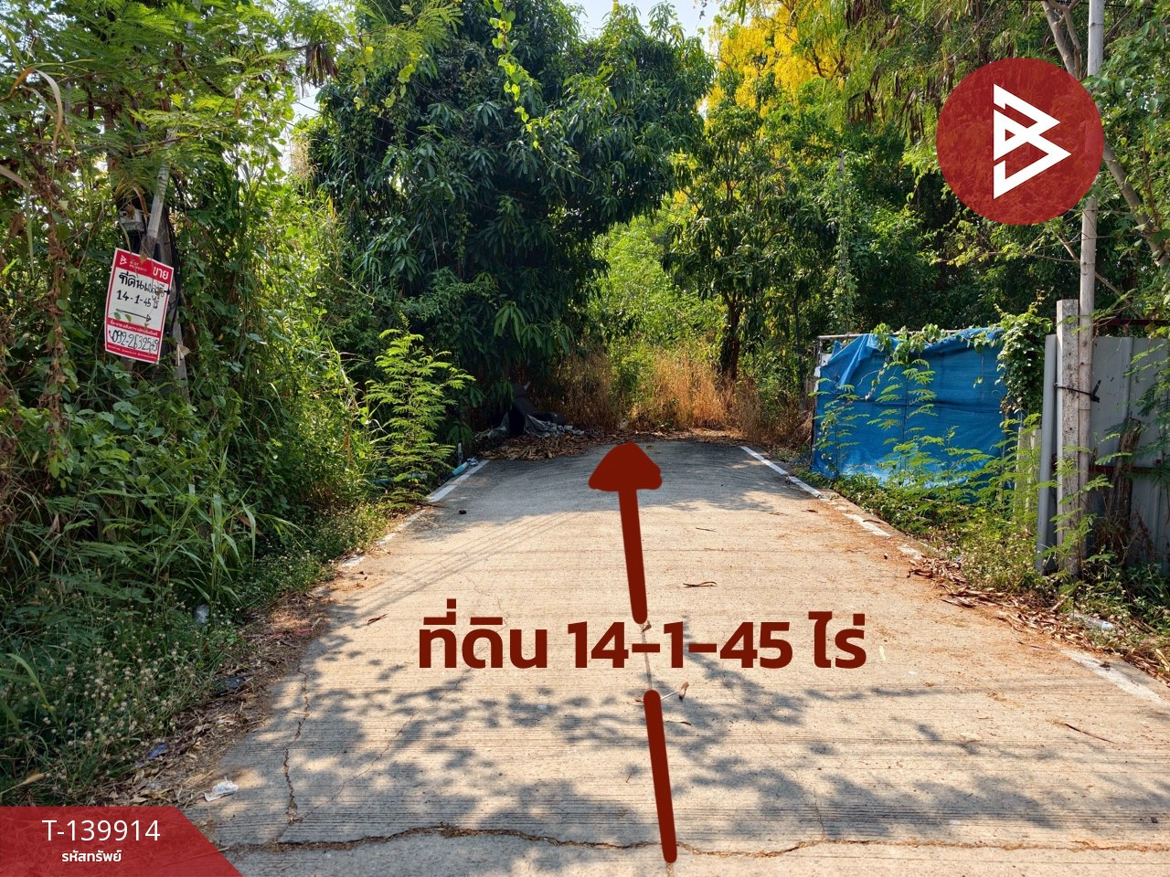 ขาย/เช่าที่ดิน เนื้อที่ 14 ไร่ 1 งาน 45 ตร.วา ลาดหลุมแก้ว ปทุมธานี – รูปที่ 4