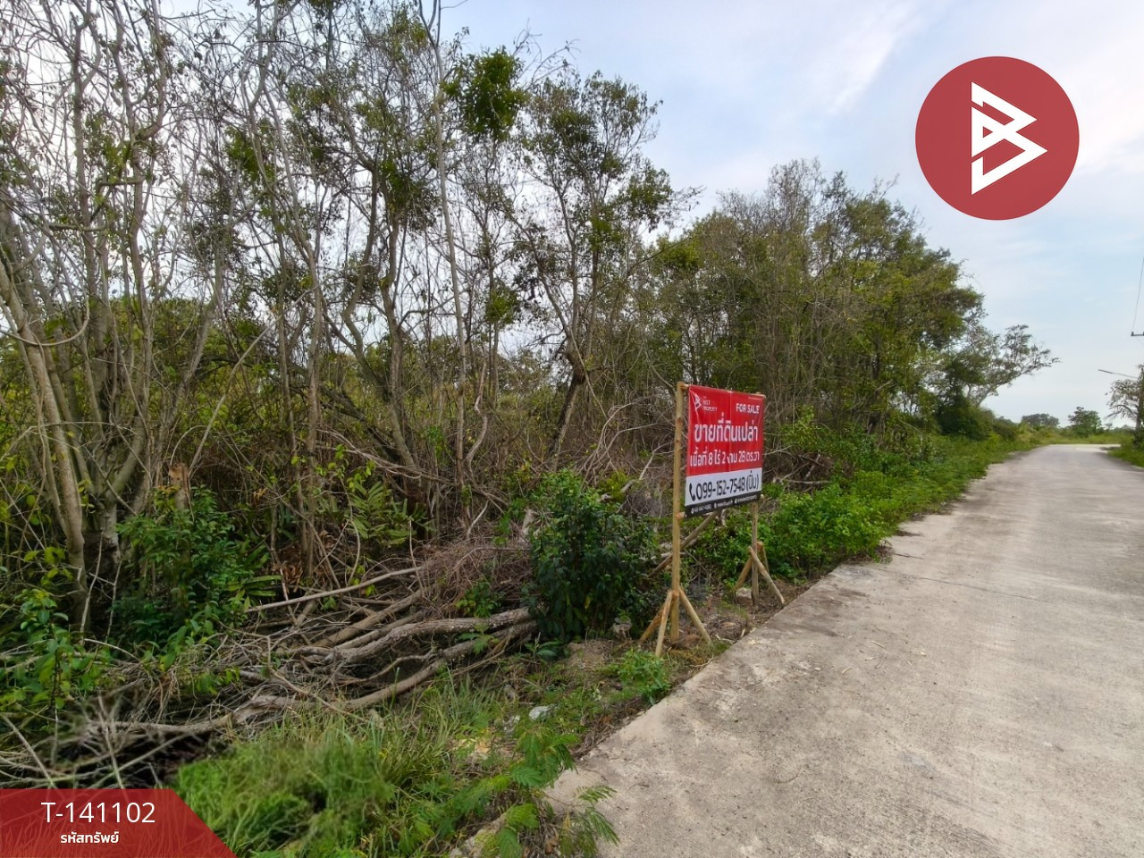 Land for sale, area 8 rai 2 ngan 28 sq m, Bang Pakong, Chachoengsao. – รูปที่ 2