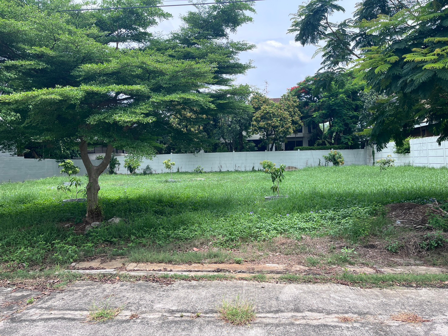 🏡 ขายที่ดิน โครงการกรีนวัลเล่ย์ บางนา – รูปที่ 3