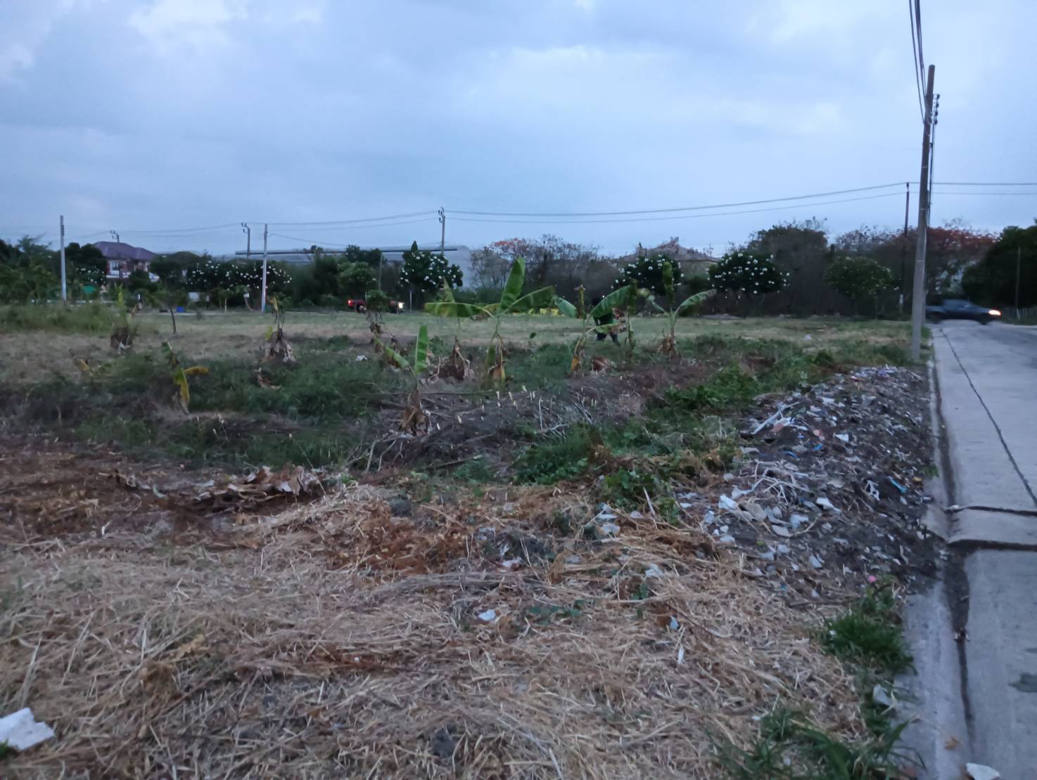 ขายที่ดินเปล่าหมู่บ้านชัยพฤกษ์บางนา 102 ตรว บางนา กม 18 – รูปที่ 2