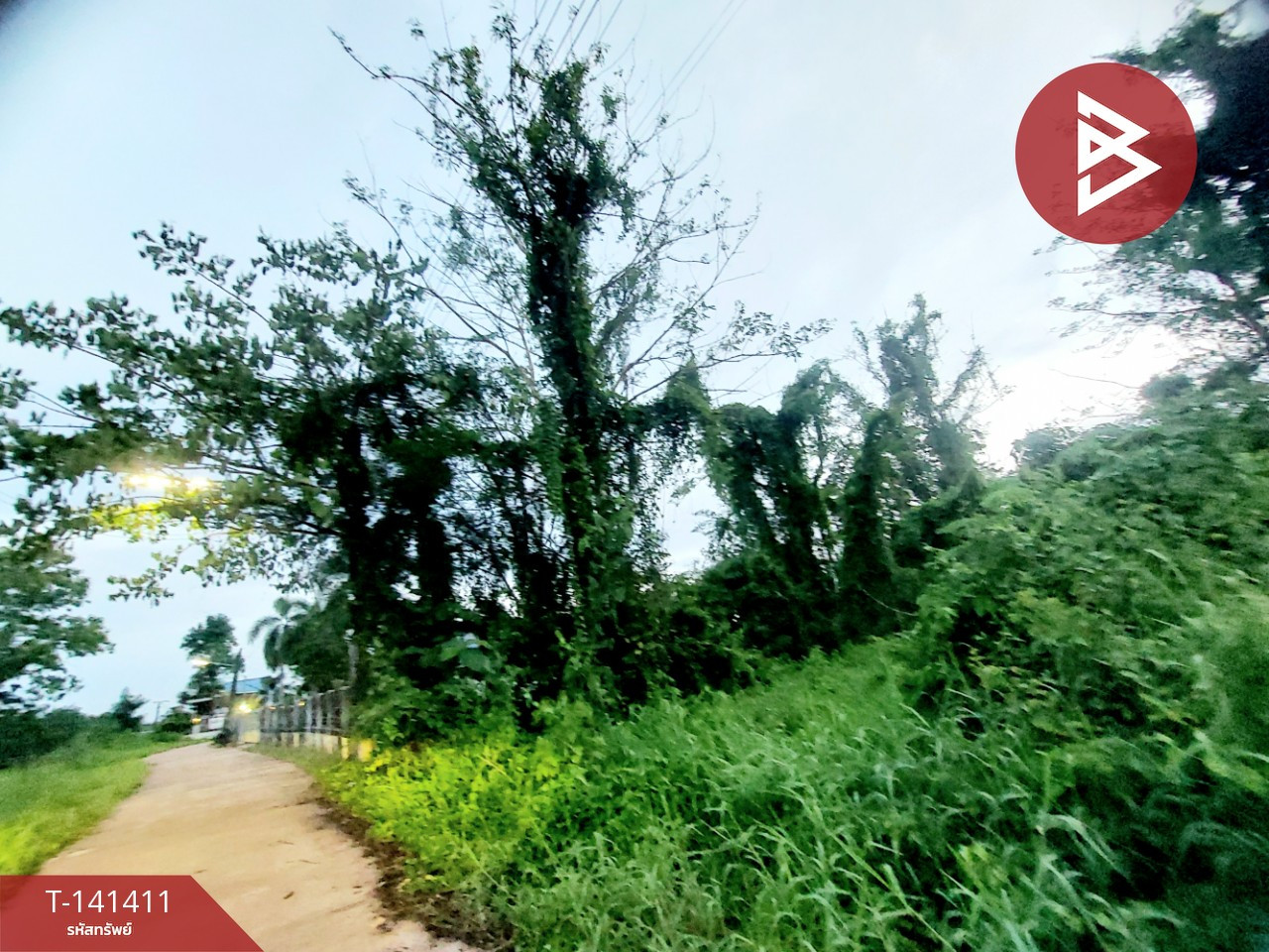 ขายที่ดิน เนื้อที่ 1 งาน ต.จุมพล อ.โพนพิสัย จ.หนองคาย – รูปที่ 4