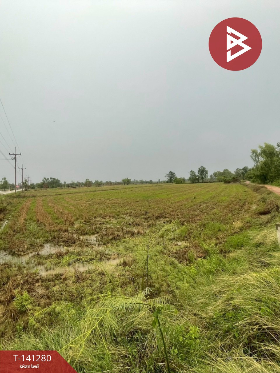 Land for sale 12 rai 1 ngan 76.1 sq m, Khanu Woralaksaburi, Kamphaeng Phet. – รูปที่ 2