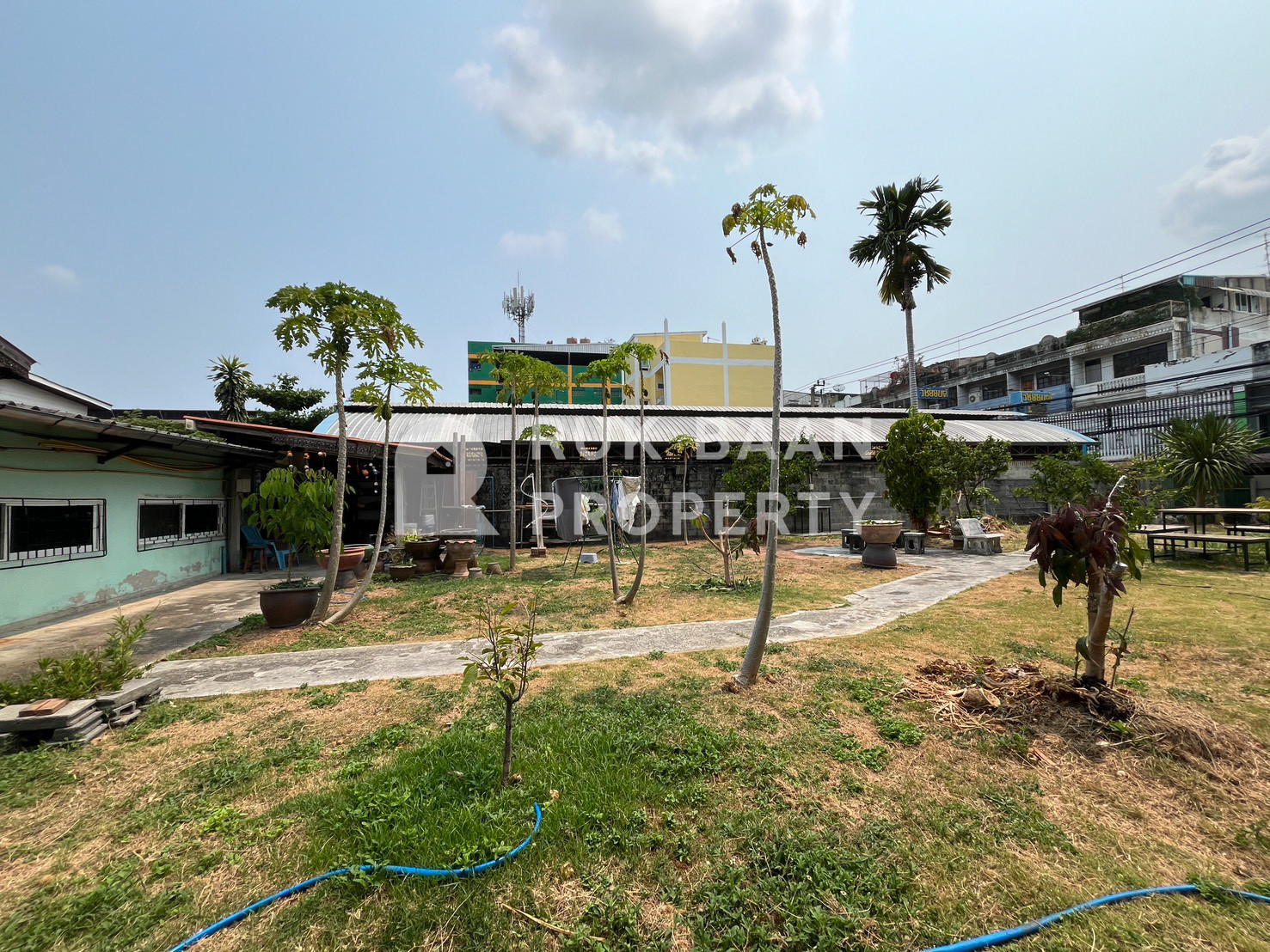 ขายที่ดิน/SALE🔥 ซอยลาดพร้าว 87 (RB111) – รูปที่ 4