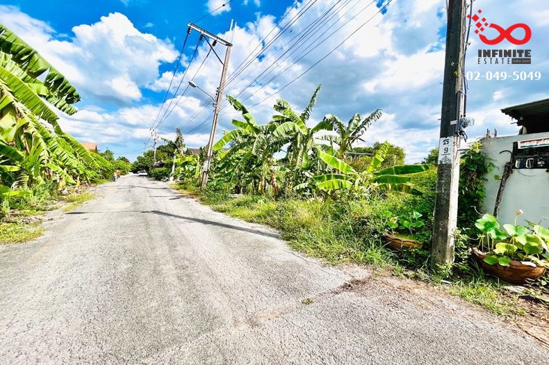 ขายที่ดิน 123 ตร.ว. พุทธมณฑลสาย 3 - ถ.อุทยาน แปลงสวย เดินทางสะดวก ราคาถูก – รูปที่ 2