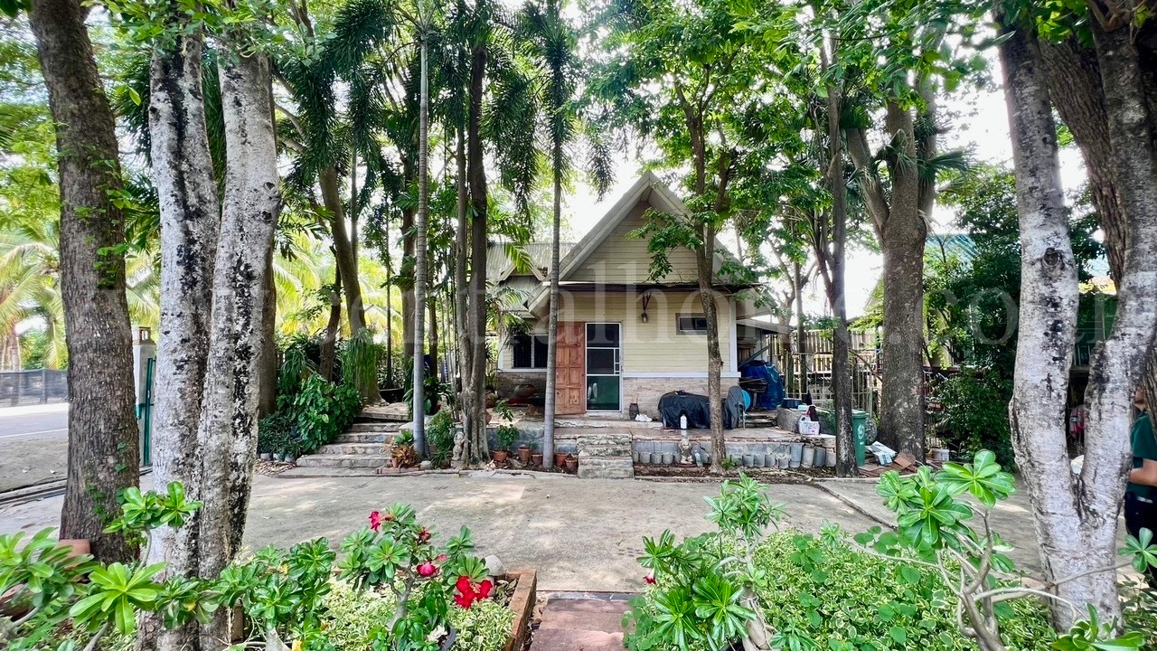 ที่ดิน 2 ไร่ พร้อมสิ่งปลูกสร้าง ไทรน้อย - นนทบุรี – รูปที่ 4