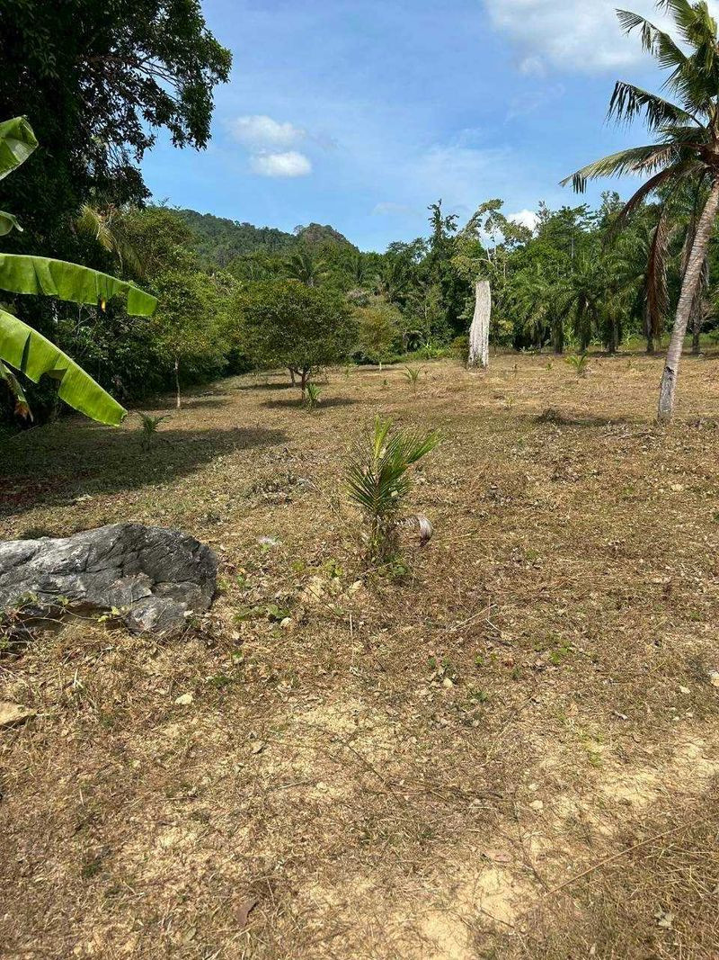 💥Empty land for sale The natural atmosphere is quiet. Behind the mountain, good feng shui, Nong Thale Subdistrict, Mueang District, Krabi, land size 4-1-0 rai. – รูปที่ 3