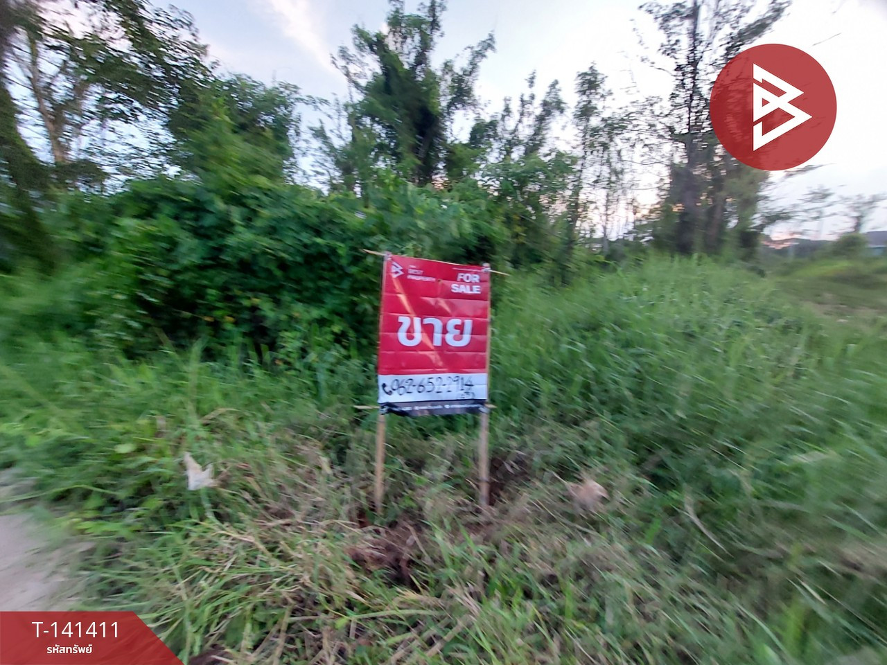 ขายที่ดิน เนื้อที่ 1 งาน ต.จุมพล อ.โพนพิสัย จ.หนองคาย – รูปที่ 2