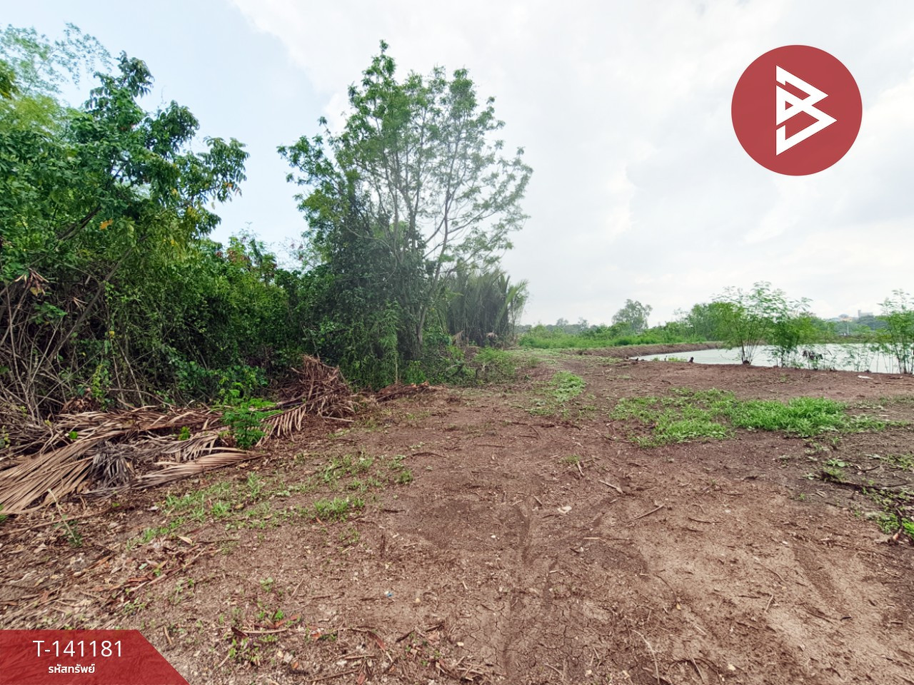 ขายที่ดิน เนื้อที่ 9 ไร่ 3 งาน 81 ตร.วา บ้านใหม่ ฉะเชิงเทรา – รูปที่ 2