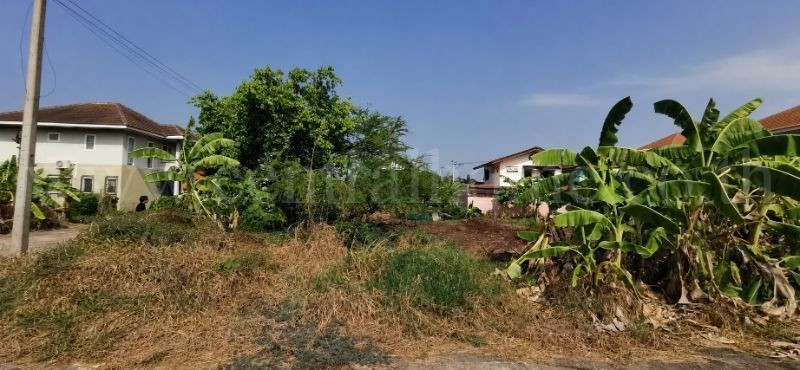 ที่ดินเปล่า 132 ตร.วา ซอยวัดลาดปลาดุก บางบัวทอง แปลงมุม – รูปที่ 4