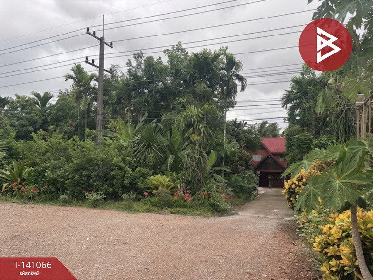 Land for sale, area 15 rai 3 ngan 93 sq m, Khon San, Chaiyaphum. Land for sale, area 15 rai 3 ngan 93 sq m, Khon San, Chaiyaphum.