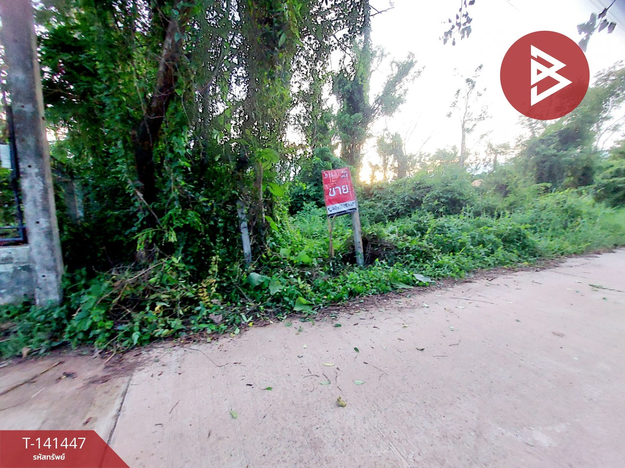 Land for sale, area 1 ngan 17 sq m, Phon Phisai, Nong Khai.