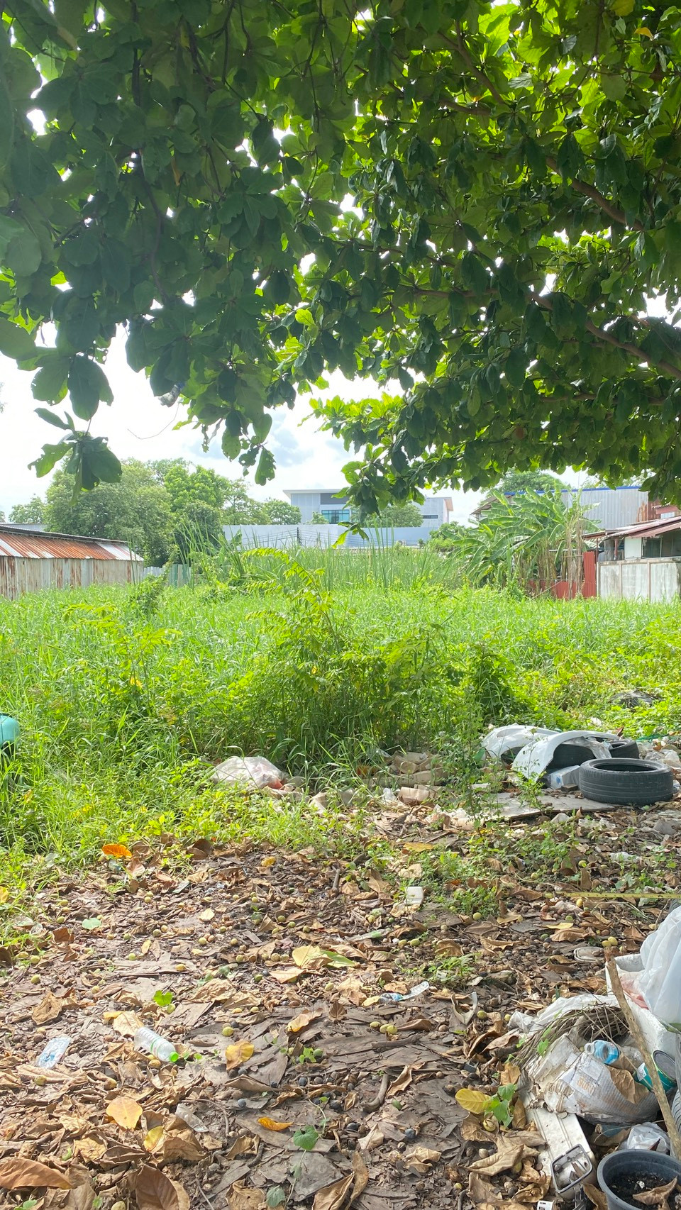 Land for sale, 400 sq m., Or Ngoen, Watcharaphon, convenient entry and exit, near Chatuchok Expressway. – รูปที่ 4