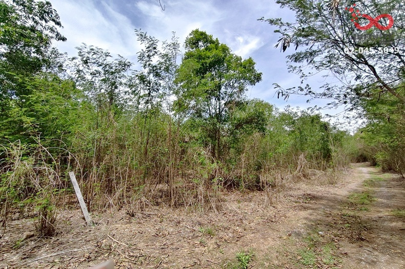 ขายที่ดินเปล่า 1 ไร่ ติดคลอง  ถนนเลียบคลอง 11 ลำลูกกา ใกล้ Reignwood Park ปทุมธานี – รูปที่ 4
