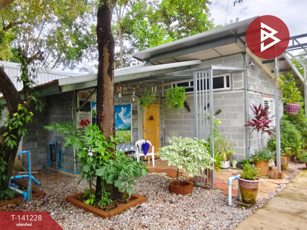 Land for sale with buildings, area 5 rai 1 ngan 4.5 sq m, Na Yai Am, Chanthaburi. – รูปที่ 4