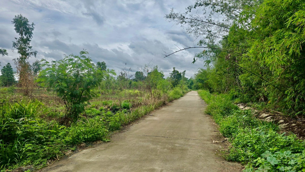 Land for sale in Lamphun, 19-0-6 rai, near Road No. 1184 and Pasang Vocational College