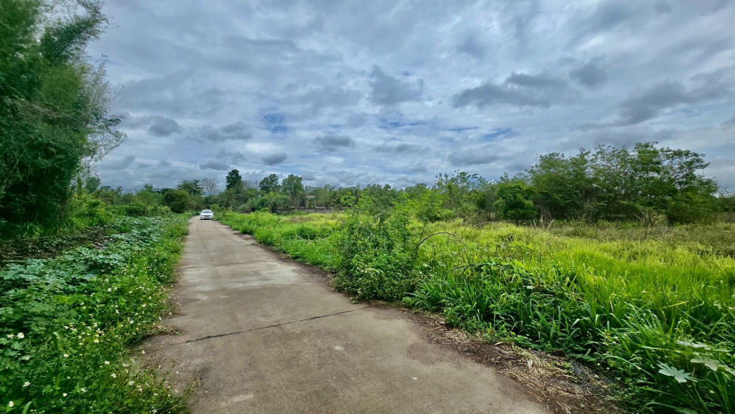 Land for sale in Lamphun, 19-0-6 rai, near Road No. 1184 and Pasang Vocational College – รูปที่ 3