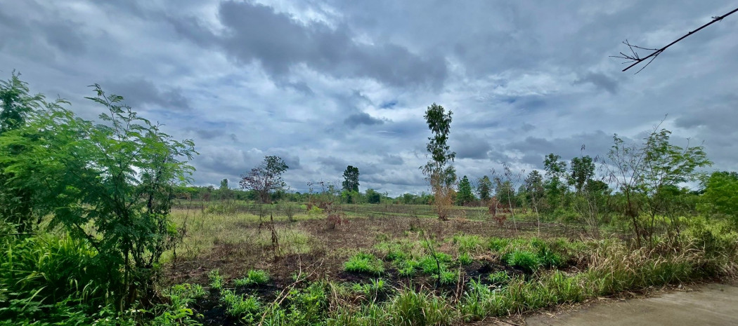 Land for sale in Lamphun, 19-0-6 rai, near Road No. 1184 and Pasang Vocational College – รูปที่ 4