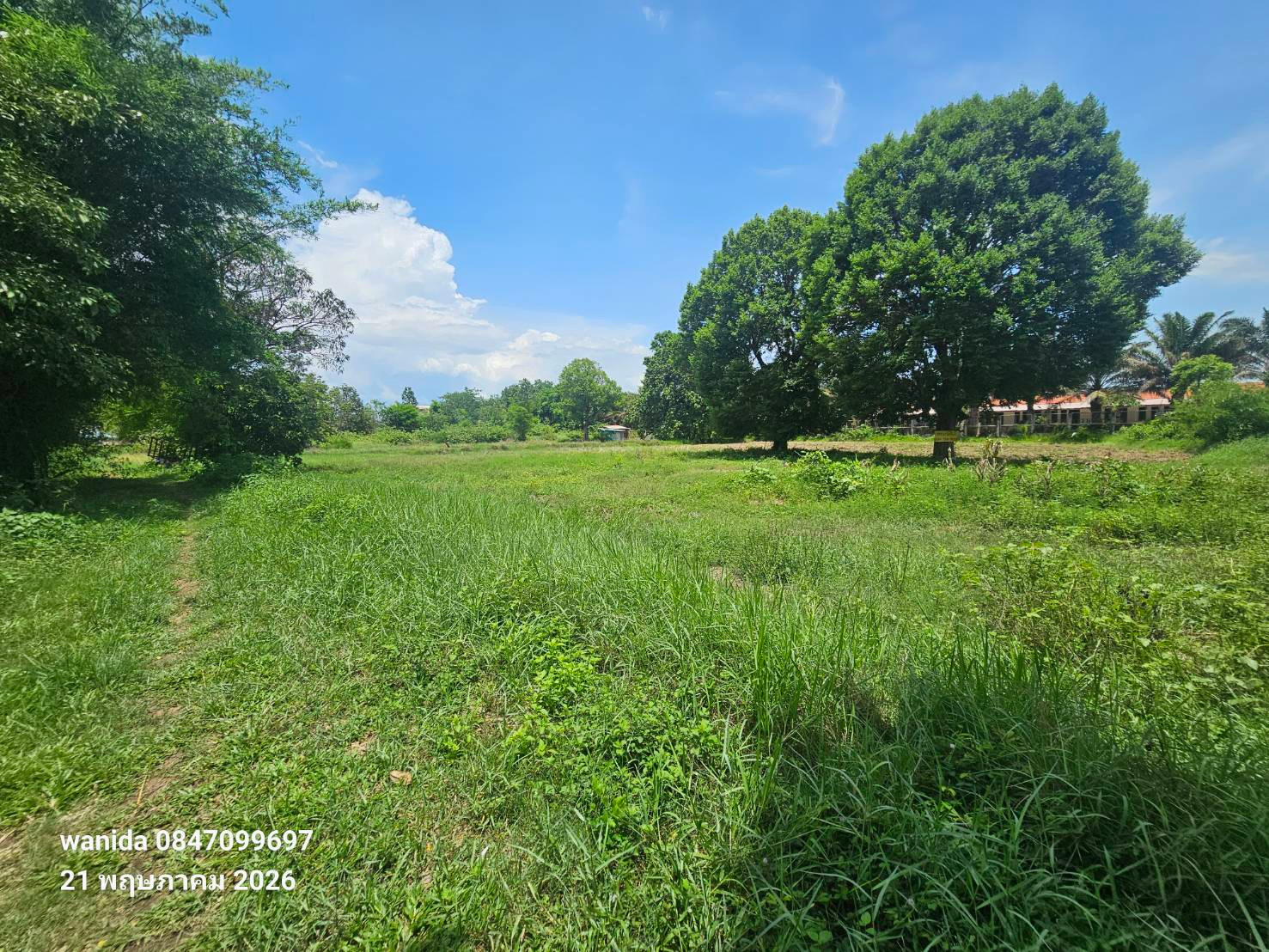 ขายที่ดิน บางทรายใหญ่ มุกดาหาร หน้าด่านสะพานไทย-ลาว แห่งที่2 เนื้อที่ เกือบ 2 ไร่ เพียง 2.59 ลบ.ทำเลดี ขายที่ดิน บางทรายใหญ่ มุกดาหาร หน้าด่านสะพานไทย-ลาว แห่งที่2 เนื้อที่ เกือบ 2 ไร่ เพียง 2.59 ลบ.ทำเลดี