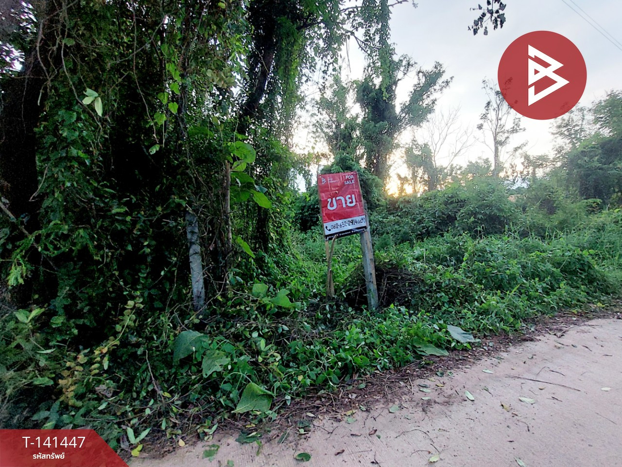 ขายที่ดิน เนื้อที่ 1 งาน 17 ตร.วา โพนพิสัย หนองคาย – รูปที่ 3