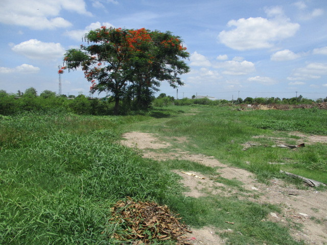 ที่ดินว่างเปล่า หมู่บ้านชวนชื่น การ์เด้น วิลล์ 40154 – รูปที่ 3