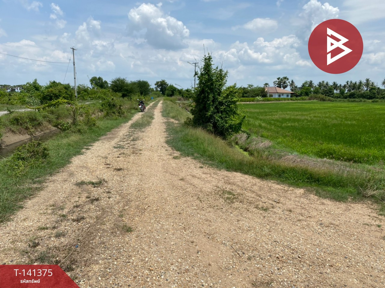  ขายที่ดิน เนื้อที่ 3 ไร่ 80.3 ตร.วา กำแพงแสน นครปฐม – รูปที่ 2