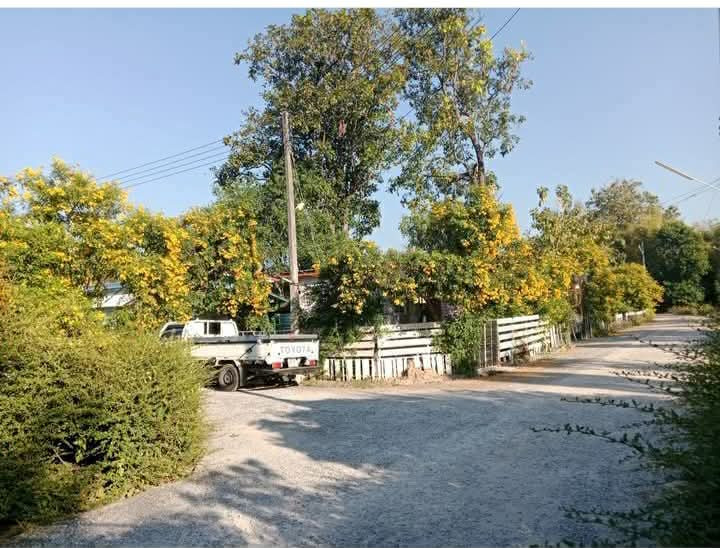 Land for sale with buildings on 88 sq m of land, community location, San Pa Tong District, price only 1.8 million baht, land with 3 garden houses, shady atmosphere. Suitable for living Make a vacation home Or convert it into a rental property in the style – รูปที่ 3