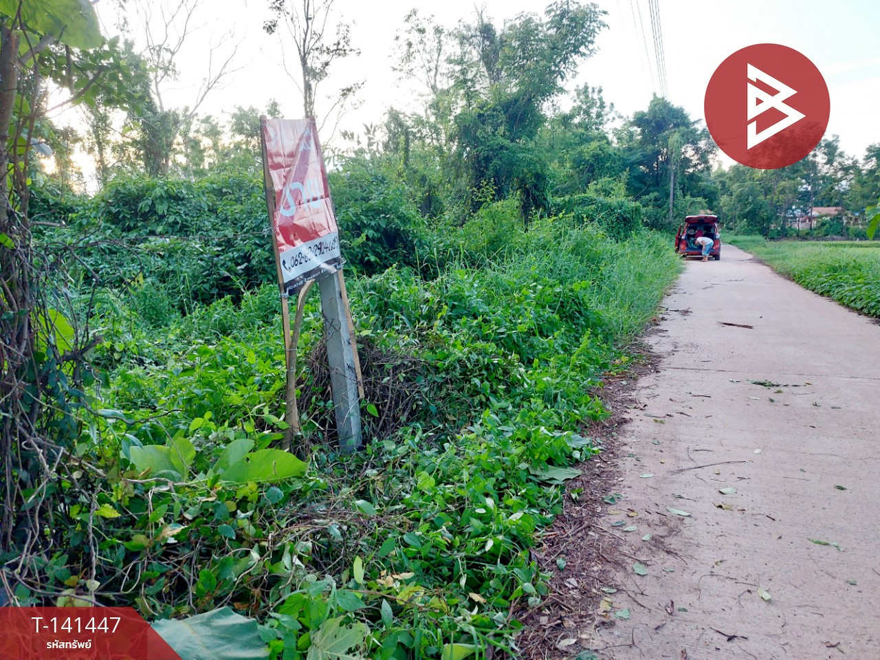 ขายที่ดิน เนื้อที่ 1 งาน 17 ตร.วา โพนพิสัย หนองคาย – รูปที่ 4