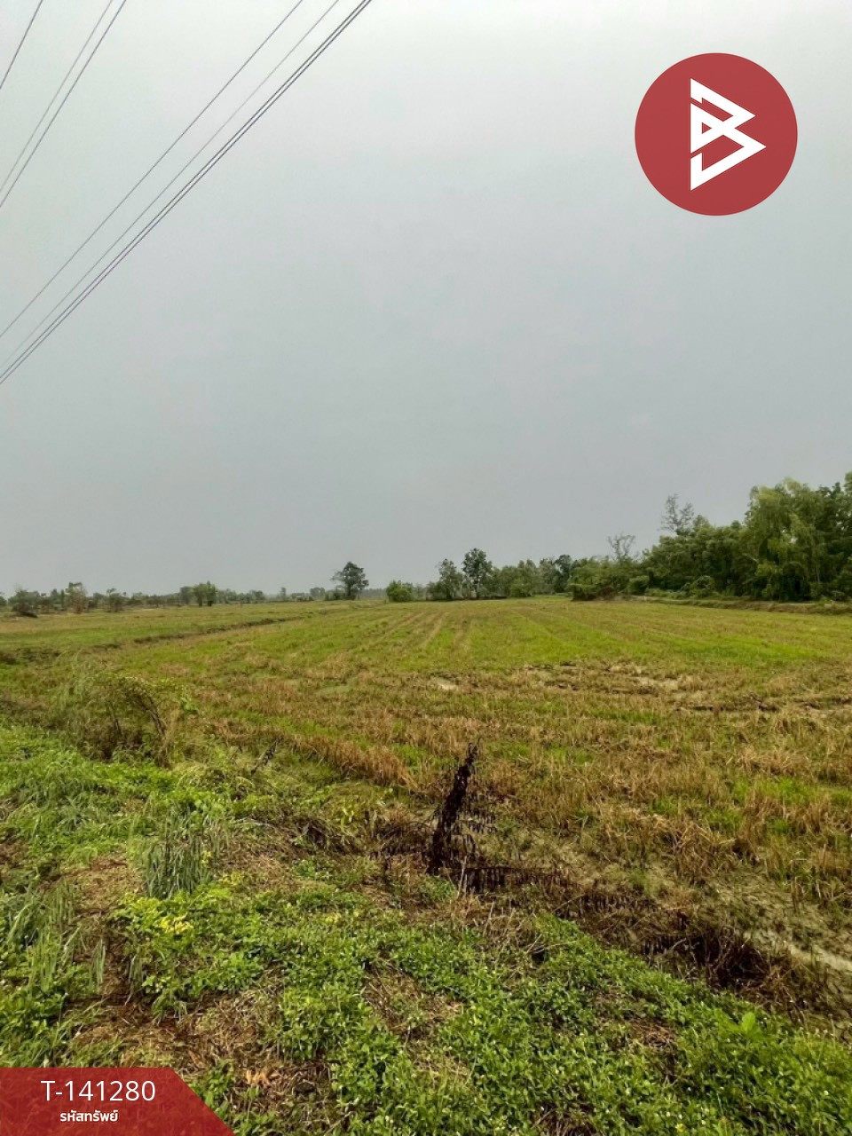 Land for sale 12 rai 1 ngan 76.1 sq m, Khanu Woralaksaburi, Kamphaeng Phet. – รูปที่ 4