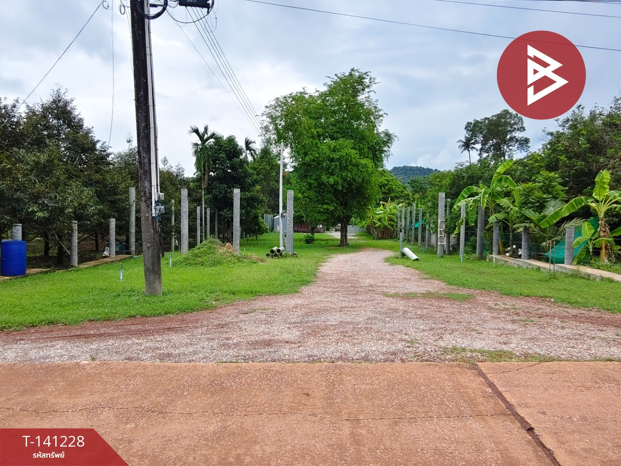 Land for sale with buildings, area 5 rai 1 ngan 4.5 sq m, Na Yai Am, Chanthaburi. – รูปที่ 2