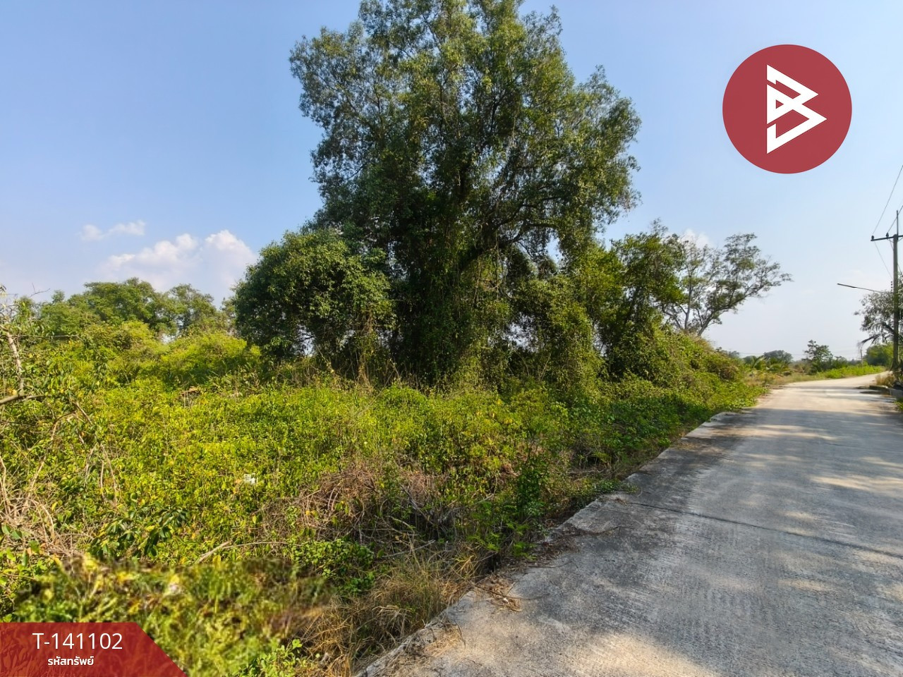 Land for sale, area 8 rai 2 ngan 28 sq m, Bang Pakong, Chachoengsao. – รูปที่ 3