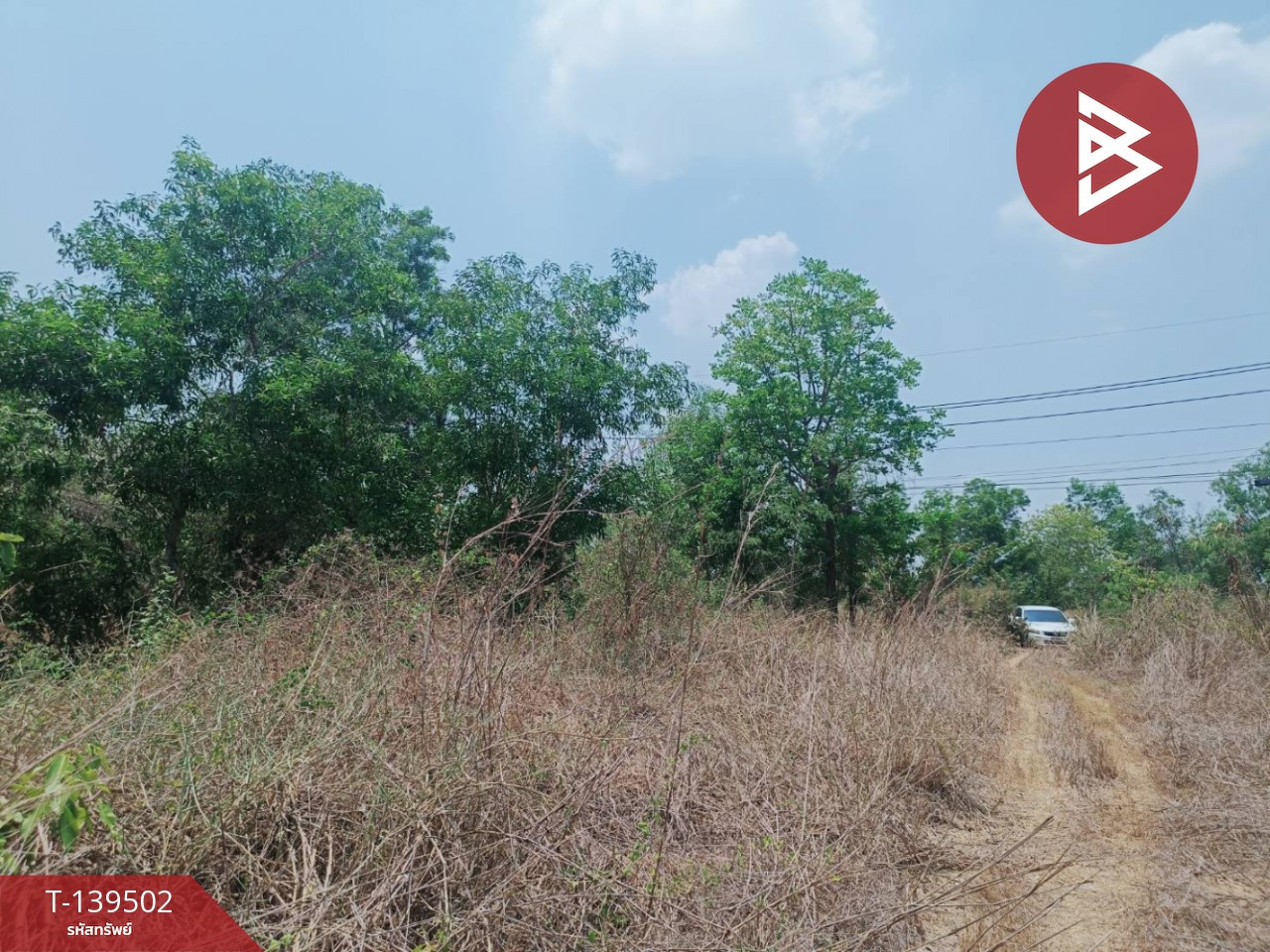 ขายที่ดิน เนื้อที่ 14 ไร่ 61.9 ตร.วา ราชสาส์น ฉะเชิงเทรา – รูปที่ 3