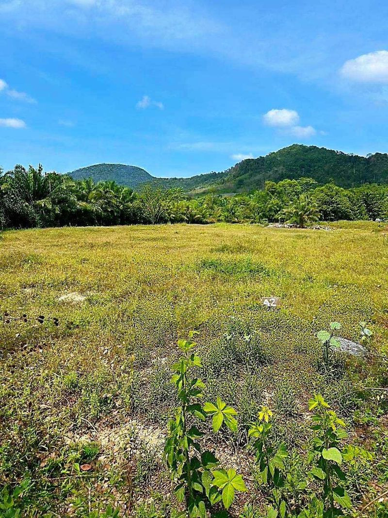 💥Beautiful plot of land for sale in Krabi, potential location near world-class tourist attractions, Nong Thale Subdistrict, Mueang District, Krabi Province, total land area 13-0-84.90 rai. – รูปที่ 4